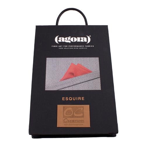 Agora ESQUIRE Provbok