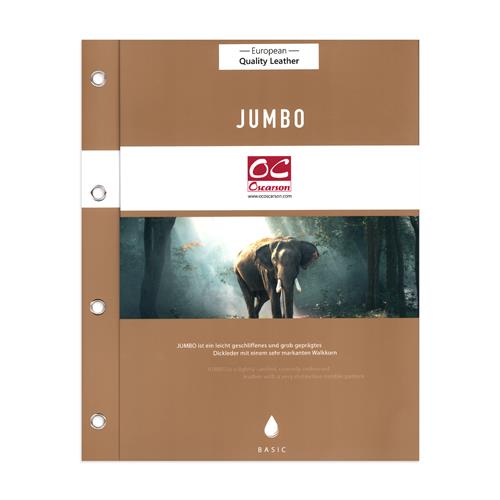 Provkarta JUMBO