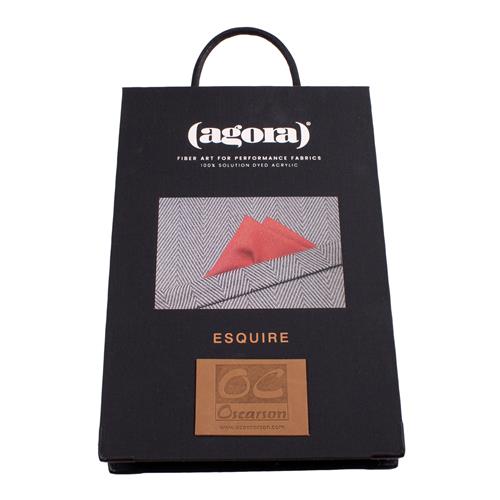 Agora ESQUIRE Provbok