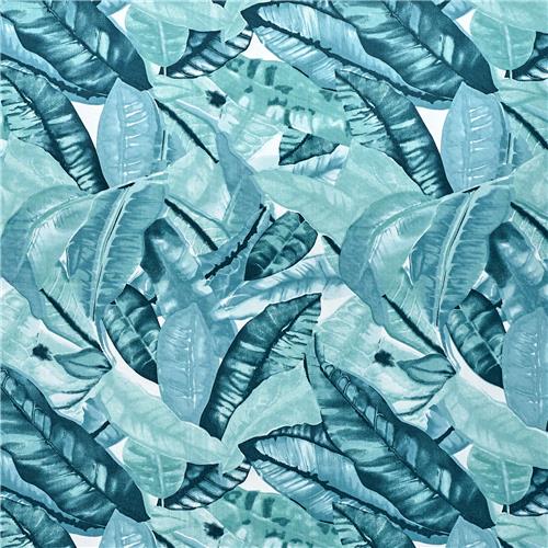 Acrisol AMAZONIA Cielo