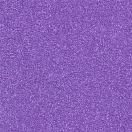 Allsport Bright Violet