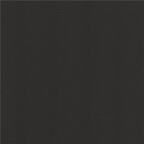 Legend Auto Meteorite