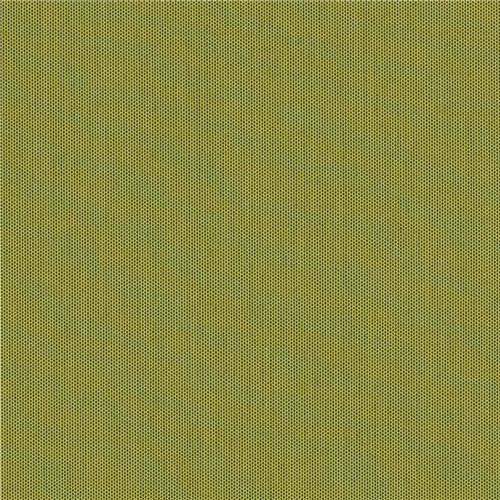 Solids & Stripes Lichen