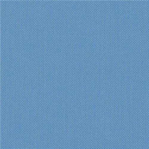 Solids & Stripes Myosotis