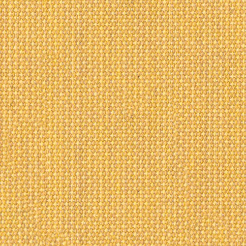 Solids & Stripes Hive