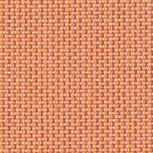 Solids & Stripes Coral