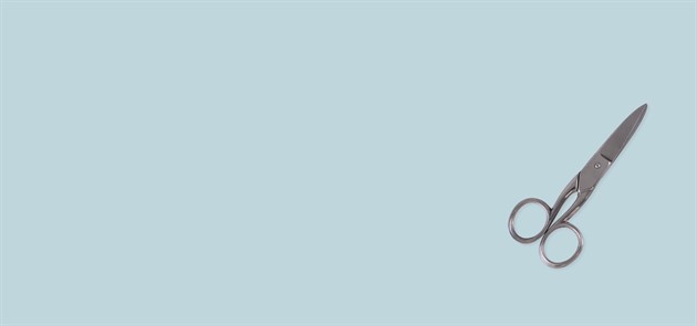 Små saxar &lt;20 cm