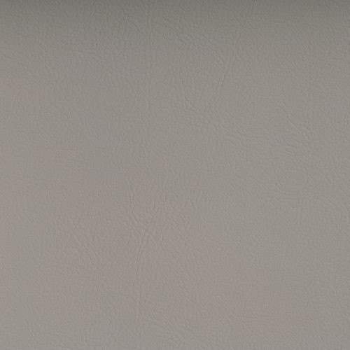 Valencia Biosense Auster