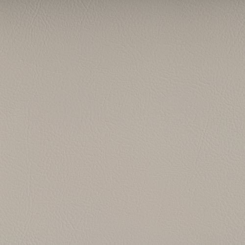 Valencia Biosense Weiss