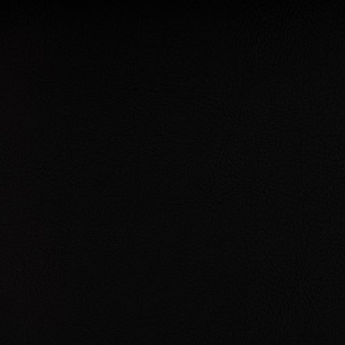 Valencia Biosense Schwarz